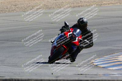 media/Mar-12-2022-SoCal Trackdays (Sat) [[152081554b]]/Turn 10 (130pm)/